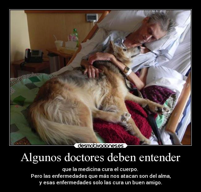 Algunos doctores deben entender - 