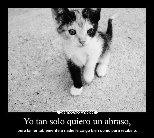 Yo tan solo quiero un abraso, - pero lamentablemente a nadie le caigo bien como para recibirlo.