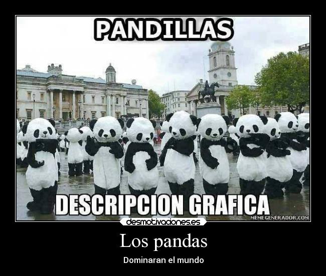 Los pandas -