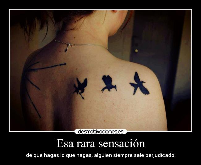 carteles amistad celos sensaciones raro sinsajo tatoo perjudicado yerg meaburro muchito desmotivaciones