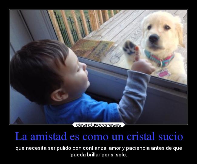 La amistad es como un cristal sucio - que necesita ser pulido con confianza, amor y paciencia antes de que
pueda brillar por sí solo.