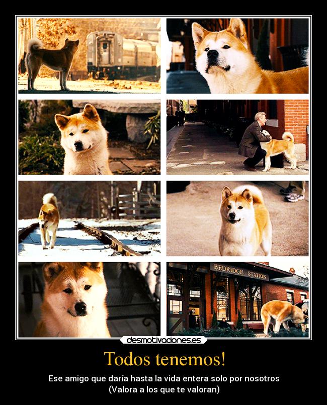 Todos tenemos! - Ese amigo que daría hasta la vida entera solo por nosotros
(Valora a los que te valoran)