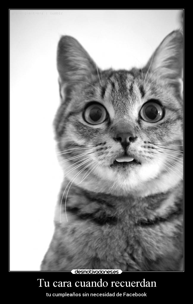 Tu cara cuando recuerdan - tu cumpleaños sin necesidad de Facebook