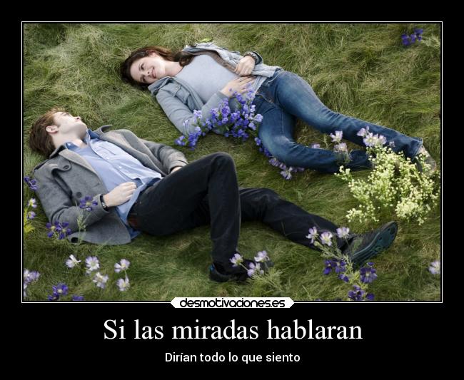 Si las miradas hablaran - 