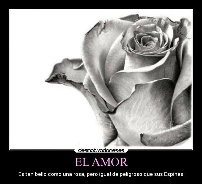 EL AMOR -