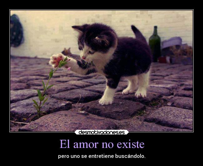 El amor no existe - 