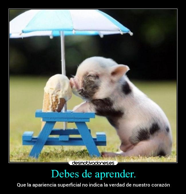 Debes de aprender. -