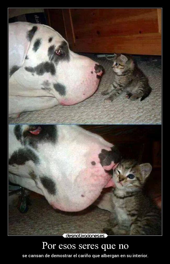 carteles amor carino personas ejercitodemar desmotivaciones