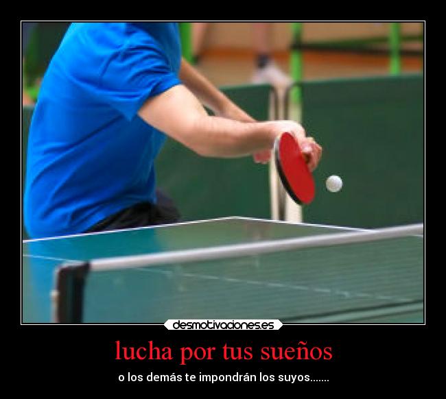 lucha por tus sueños -