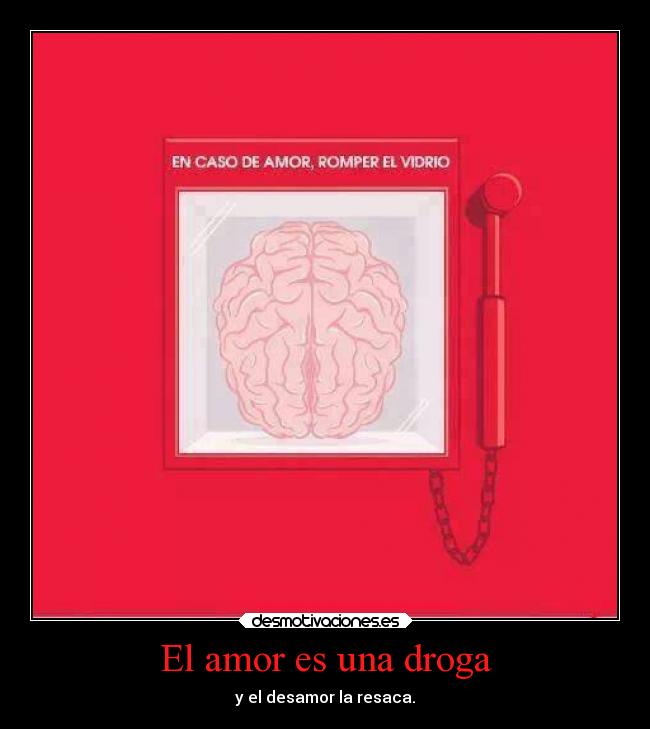 carteles amor desamor amor droga resaca lolsomething desmotivaciones