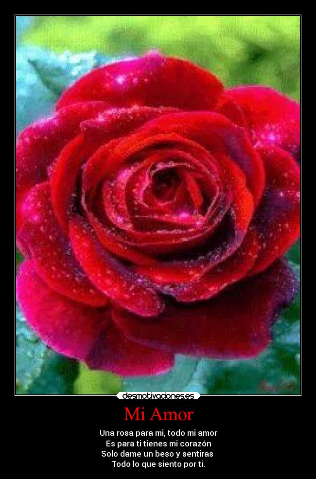 Mi Amor - Una rosa para mi, todo mi amor
Es para ti tienes mi corazón
Solo dame un beso y sentiras
Todo lo que siento por ti.