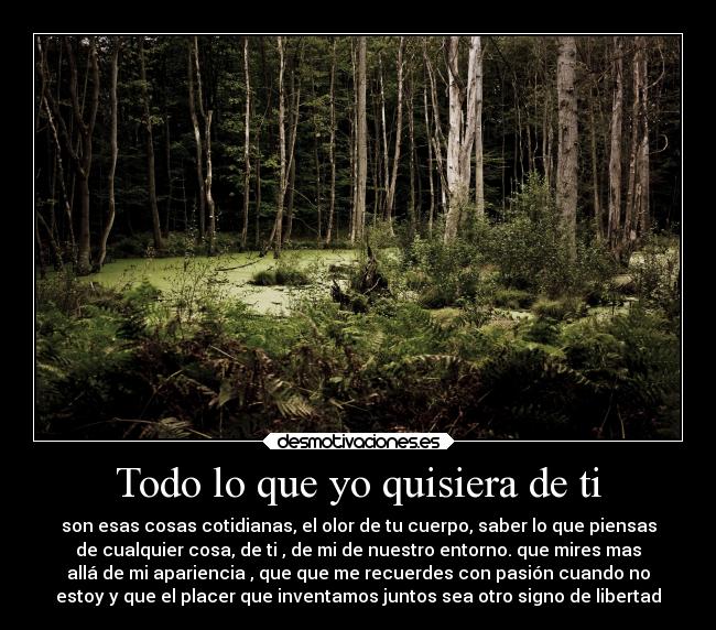Todo lo que yo quisiera de ti - 