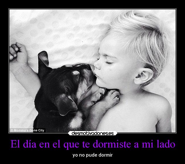 carteles amor desmotivaciones