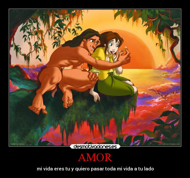 AMOR - 