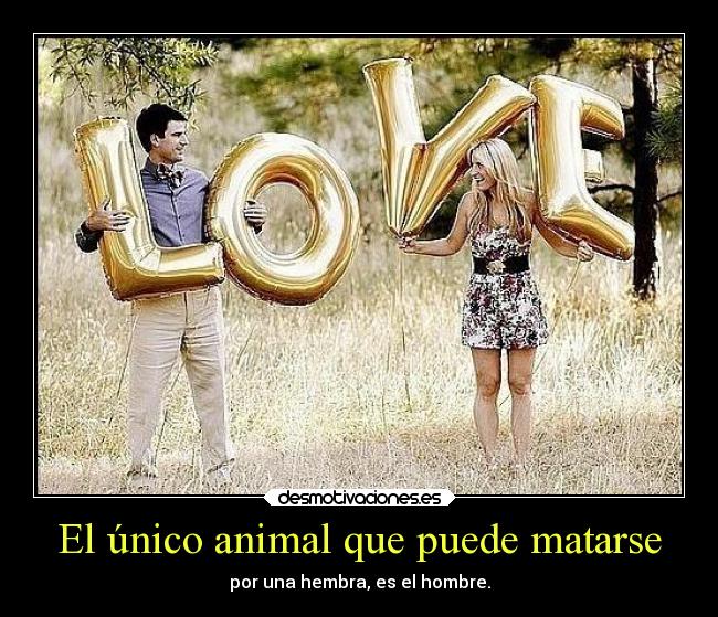 carteles amor desmotivaciones