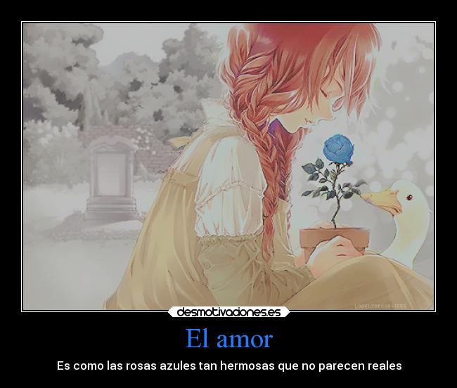 El amor -
