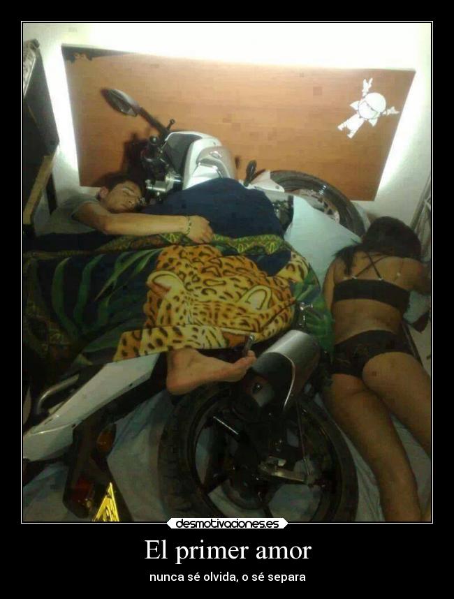 carteles amor humor desmotivaciones