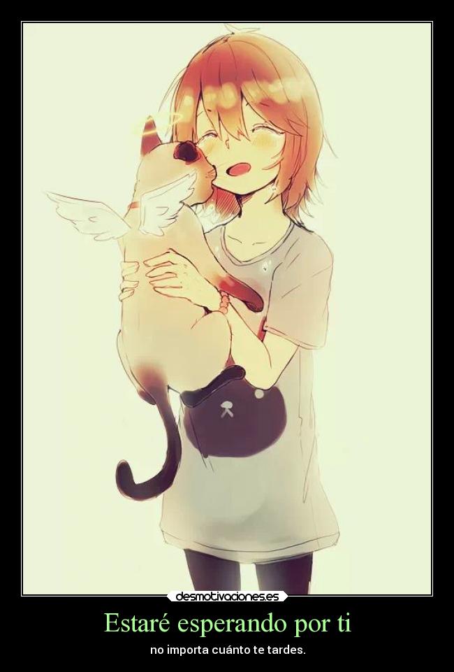 Estaré esperando por ti - 