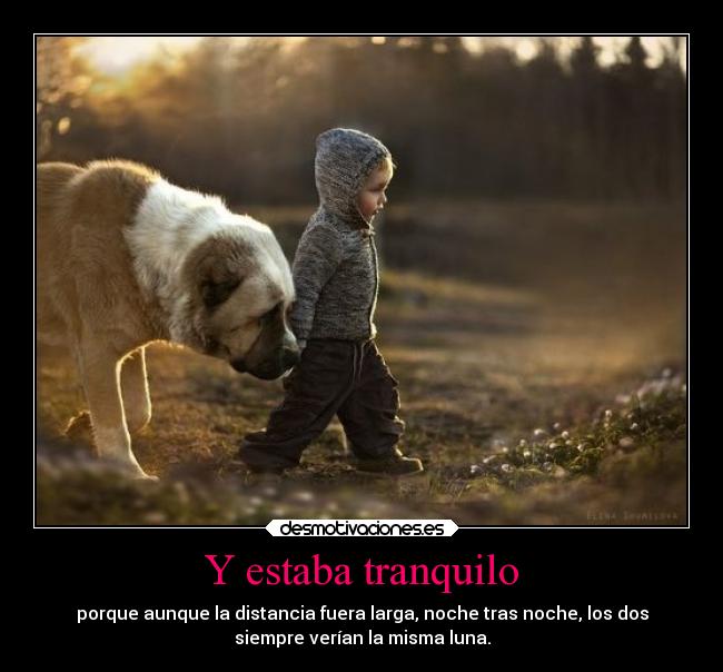 Y estaba tranquilo - 