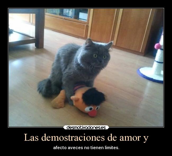 Las demostraciones de amor y - afecto aveces no tienen limites.