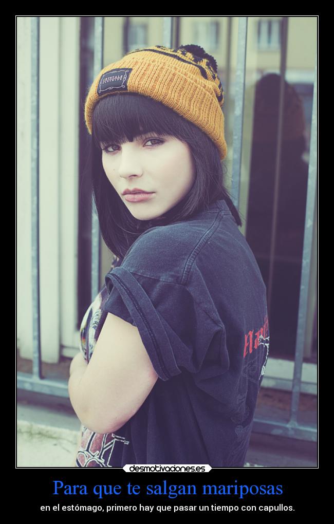 carteles amor mariposas capullos desmotivaciones