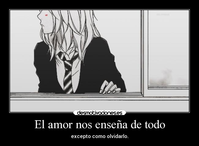 El amor nos enseña de todo -