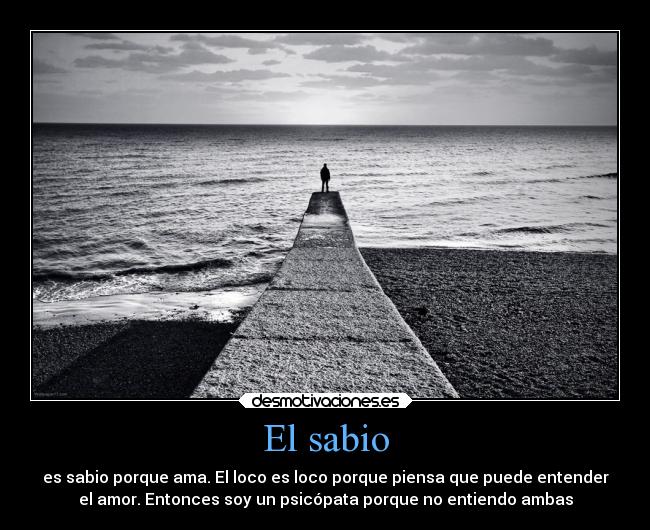 carteles amor que puede comprender convierte psicopata desmotivaciones