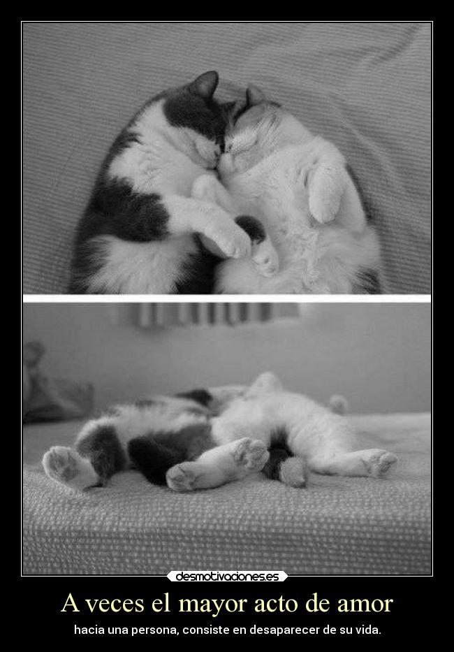 A veces el mayor acto de amor -