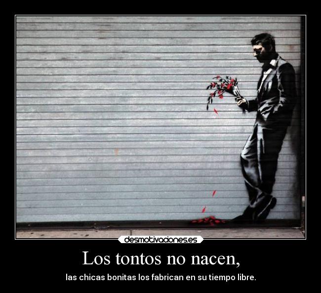 Los tontos no nacen, - 