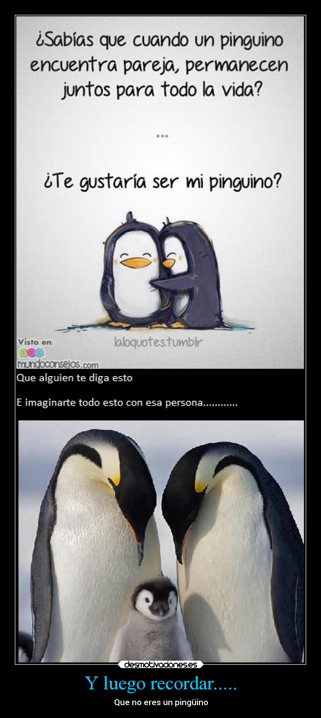 Y luego recordar..... - 