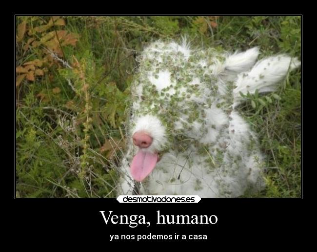 Venga, humano - ya nos podemos ir a casa