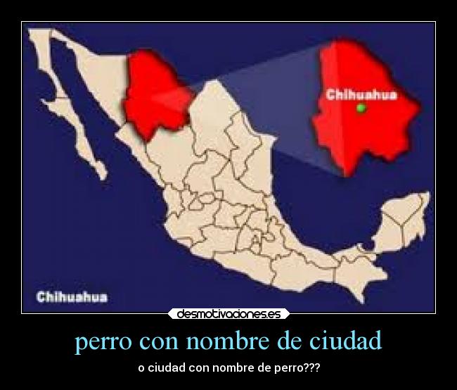 perro con nombre de ciudad - o ciudad con nombre de perro???