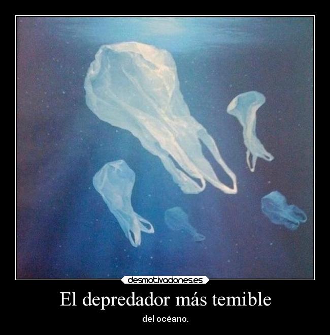 carteles animales depredador temible contaminacion ambiente desmotivaciones