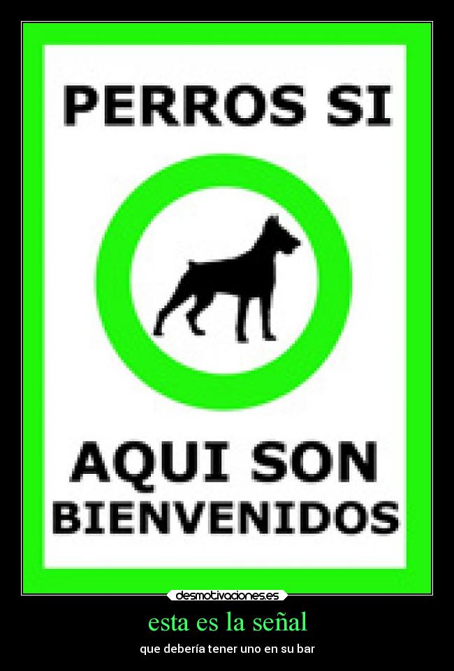 esta es la señal - que debería tener uno en su bar