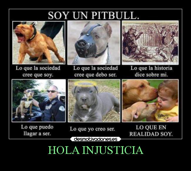 HOLA INJUSTICIA -