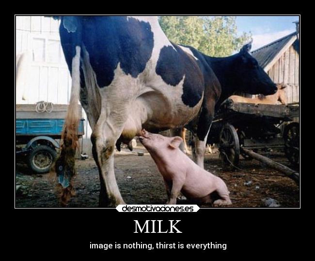 MILK - 