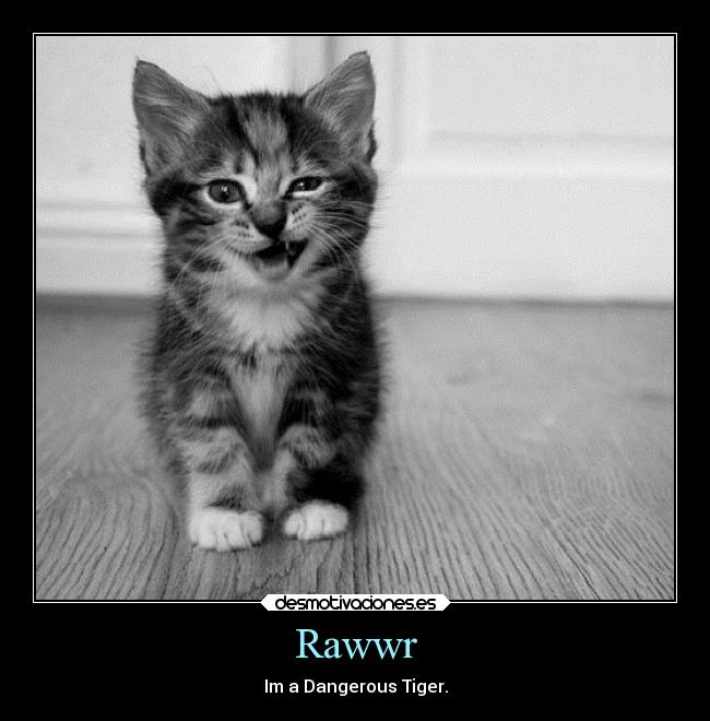 Rawwr -
