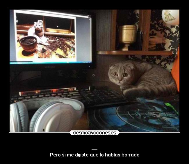 _ - Pero si me dijiste que lo habías borrado