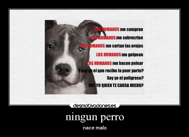 ningun perro - nace malo