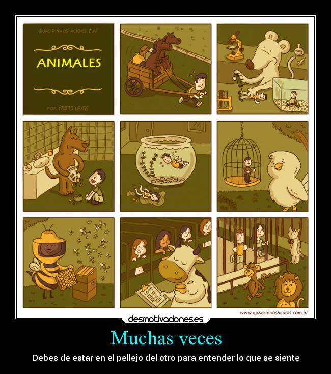 carteles animales desmotivaciones