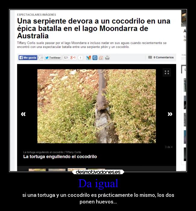 carteles animales desmotivaciones