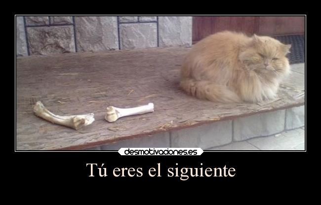 carteles animales desmotivaciones