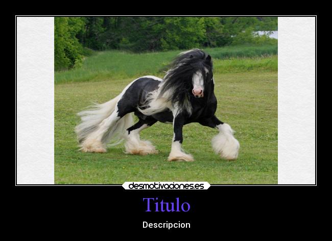 Titulo - Descripcion