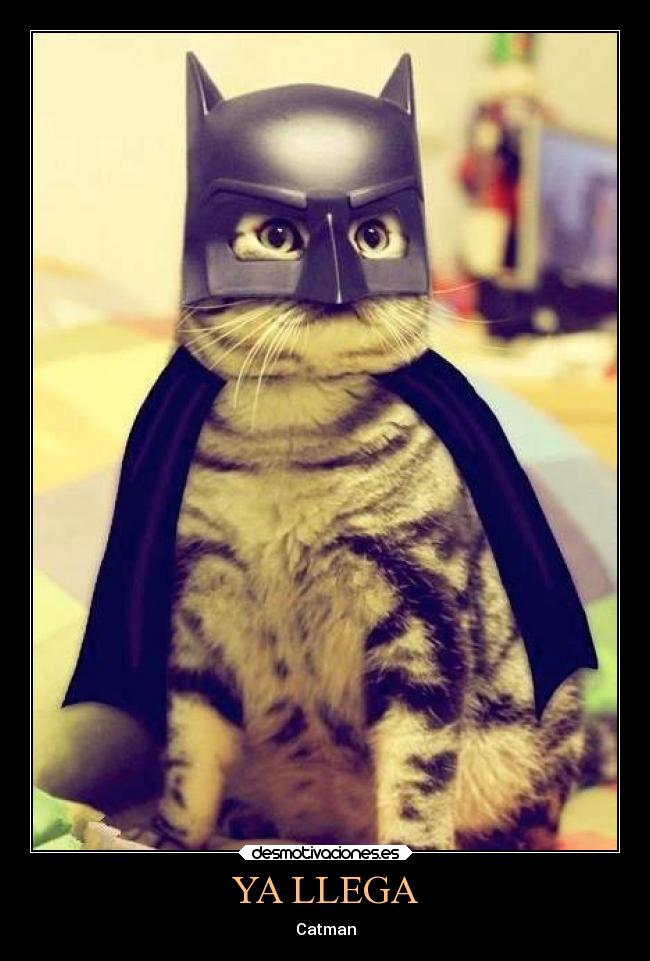 YA LLEGA - Catman