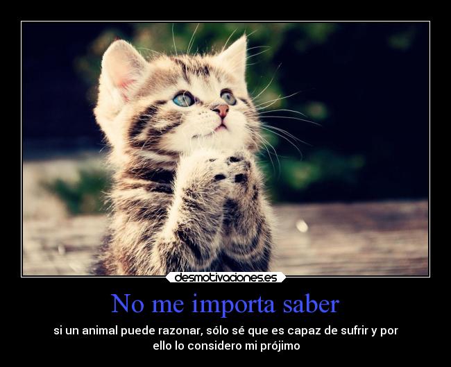No me importa saber -