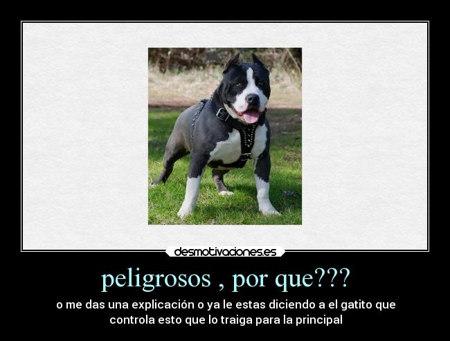 peligrosos , por que??? - o me das una explicación o ya le estas diciendo a el gatito que
controla esto que lo traiga para la principal