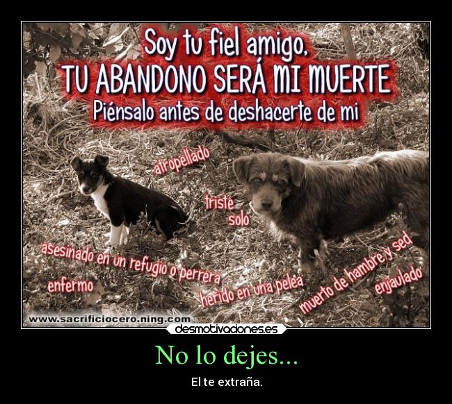 No lo dejes... - El te extraña.