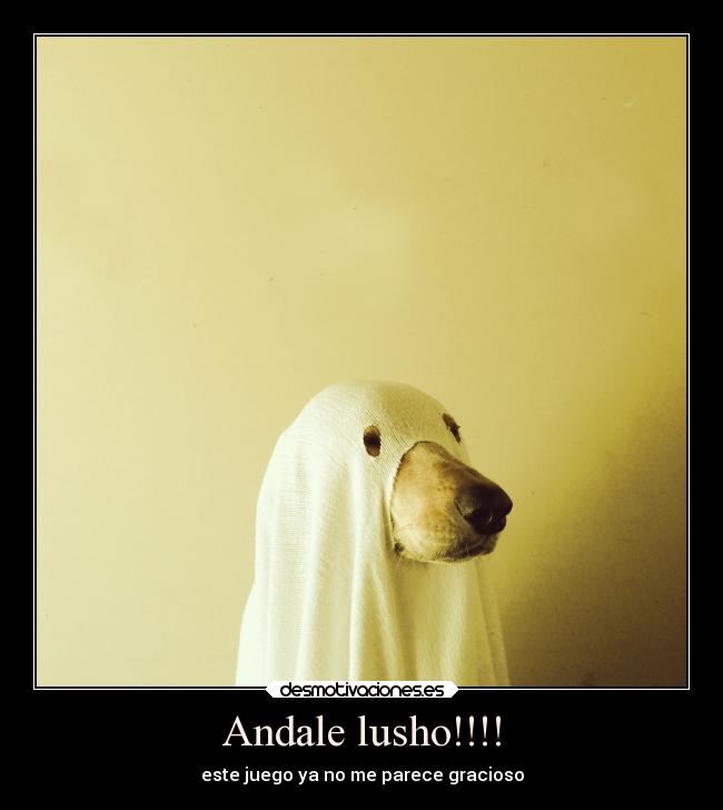 Andale lusho!!!! - 