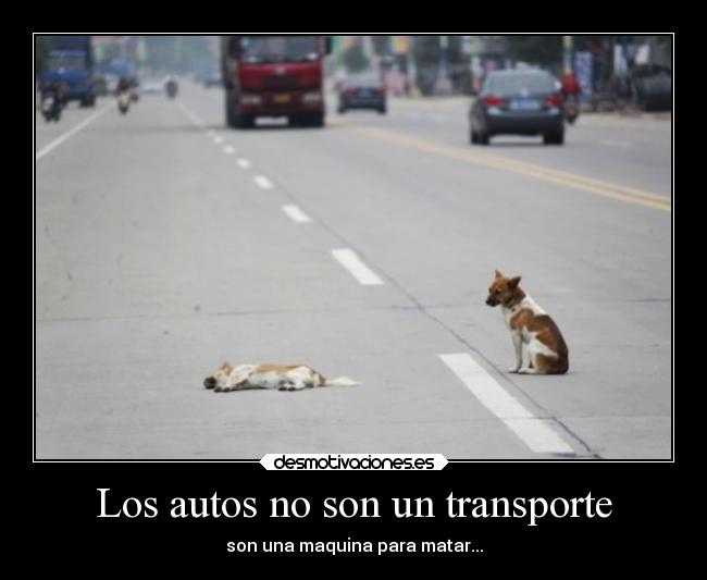 Los autos no son un transporte -