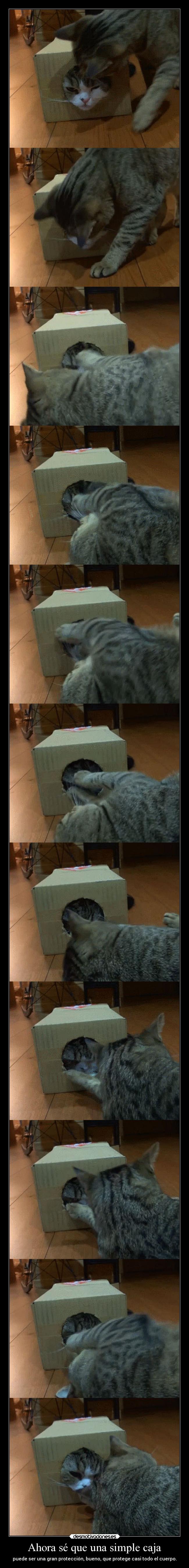 Ahora sé que una simple caja - puede ser una gran protección, bueno, que protege casi todo el cuerpo.